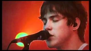 MGMT  The Youth  Live [upl. by Saref]