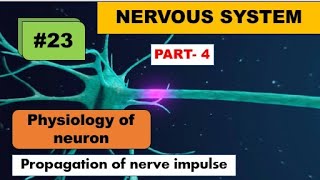 Propagation of nerve impulse [upl. by Frieda]