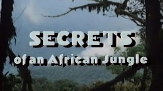 Secrets of an African Jungle 1986 [upl. by Areek]