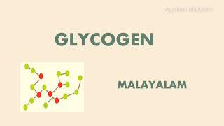 GLYCOGEN  POLYSACCHARIDES  CARBOHYDRATES  MALAYALAM [upl. by Anod]