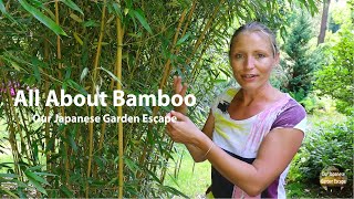 How to Grow Maintain and Control Bamboo  Our Japanese Garden Escape [upl. by Assenahs451]