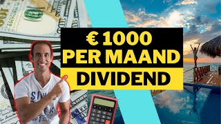 ZOVEEL aandelen heb je nodig voor €1000 dividend per maand Beleggen in dividend aandelen bij DEGIRO [upl. by Enaed]