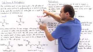 Isoelectric Point and Electrophoresis [upl. by Roxie]