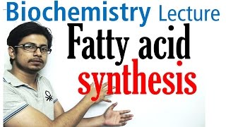 Fatty acid synthesis [upl. by Nims]