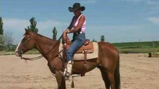 How To Ride Your Horse With Unshakable Confidence [upl. by Cavil]