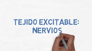 Fisiología Tejido Excitable  Nervios  NEUROGLIA Y NEURONA [upl. by Aivax]