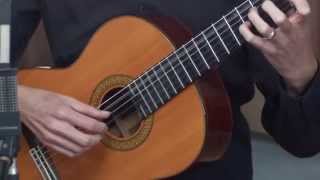 Classical Guitar Lesson 1 [upl. by Einafets]