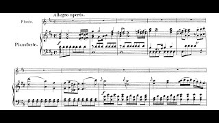 Mozart Flute Concerto in D major K314 Movement I piano accompaniment with score [upl. by Pals780]