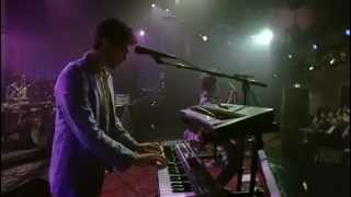 MGMT Live on David Letterman FULL SHOW [upl. by Dusza]