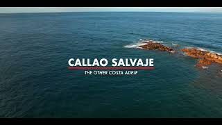 Callao Salvaje Playa Ajabo the other Costa Adeje DJI mini3pro [upl. by Brunk824]