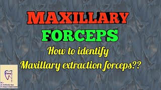 Dental Forceps  Maxillary forceps identification and use [upl. by Ytissahc]