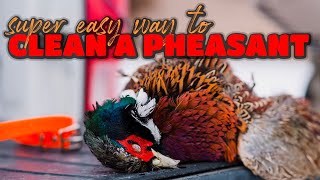 Easiest Way to Clean a Pheasant [upl. by Haidadej178]