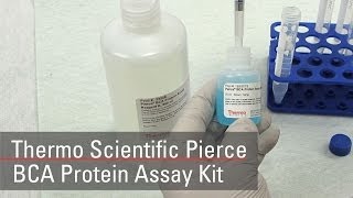 BCA Protein Assay Reagent bicinchoninic acid [upl. by Neelya]