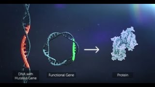 Gene Therapy Explained [upl. by Natlus]