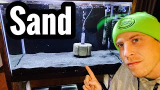 Rinse Aquarium Sand  How To Guide [upl. by Ylro388]