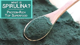 What is Spirulina A Proteinrich Top Superfood Algae [upl. by Sarah479]