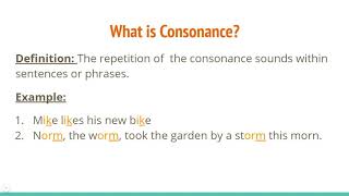 Alliteration Consonance and Assonance [upl. by Gnilsia760]