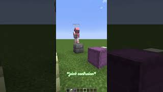 We Played Minecraft Wavelength [upl. by Ollecram]