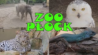 ZOO Płock [upl. by Roseline]