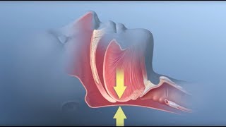 Tutorial IL RILASSAMENTO nellAPNEA Francesco Sena [upl. by Eveleen]