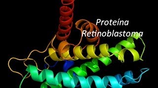 MolBiol La proteína Retinoblastoma y el G1 checkpoint [upl. by Queen]