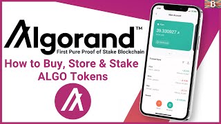 Algorand Tutorial for Beginners How to Buy Store amp Stake Algorand ALGO Tokens [upl. by Yknarf]