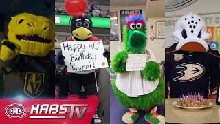 Mascots wish Youppi a happy 40th birthday [upl. by Flanders]