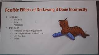 Declawing in Cats ProsCons [upl. by Pascasia993]