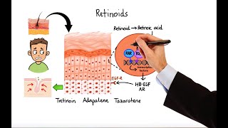 Pharmacology  ACNE TREATMENTS MADE EASY [upl. by Coffey91]