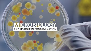 Microbiology and Contamination Control [upl. by Sackey105]